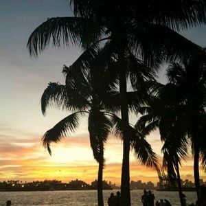 Meet your Posher, Roisey